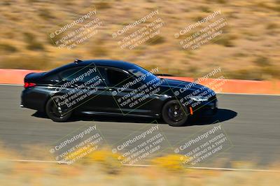 media/Nov-16-2024-Extreme Speed (Sat) [[6587d07cc4]]/Gold Group/Session 3 (The Bowl)/